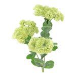 ARTIFICIAL- SEDUM VERDE