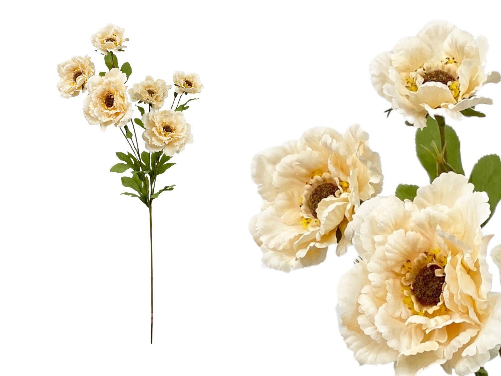 012624.17 HASTE DALIAS X4 COR:BEJE - Image 1