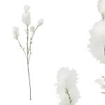 PE PLUMAS COR BRANCO