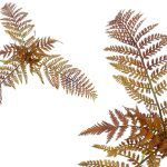 MOLHO FETOS CASTANHO