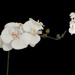 FLOR ARTIFICIAL - PHALENOPSIS 82CM X6
