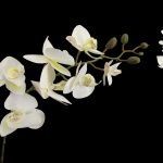 ARTIFICIAL- PHALENOPSIS 75CM X7