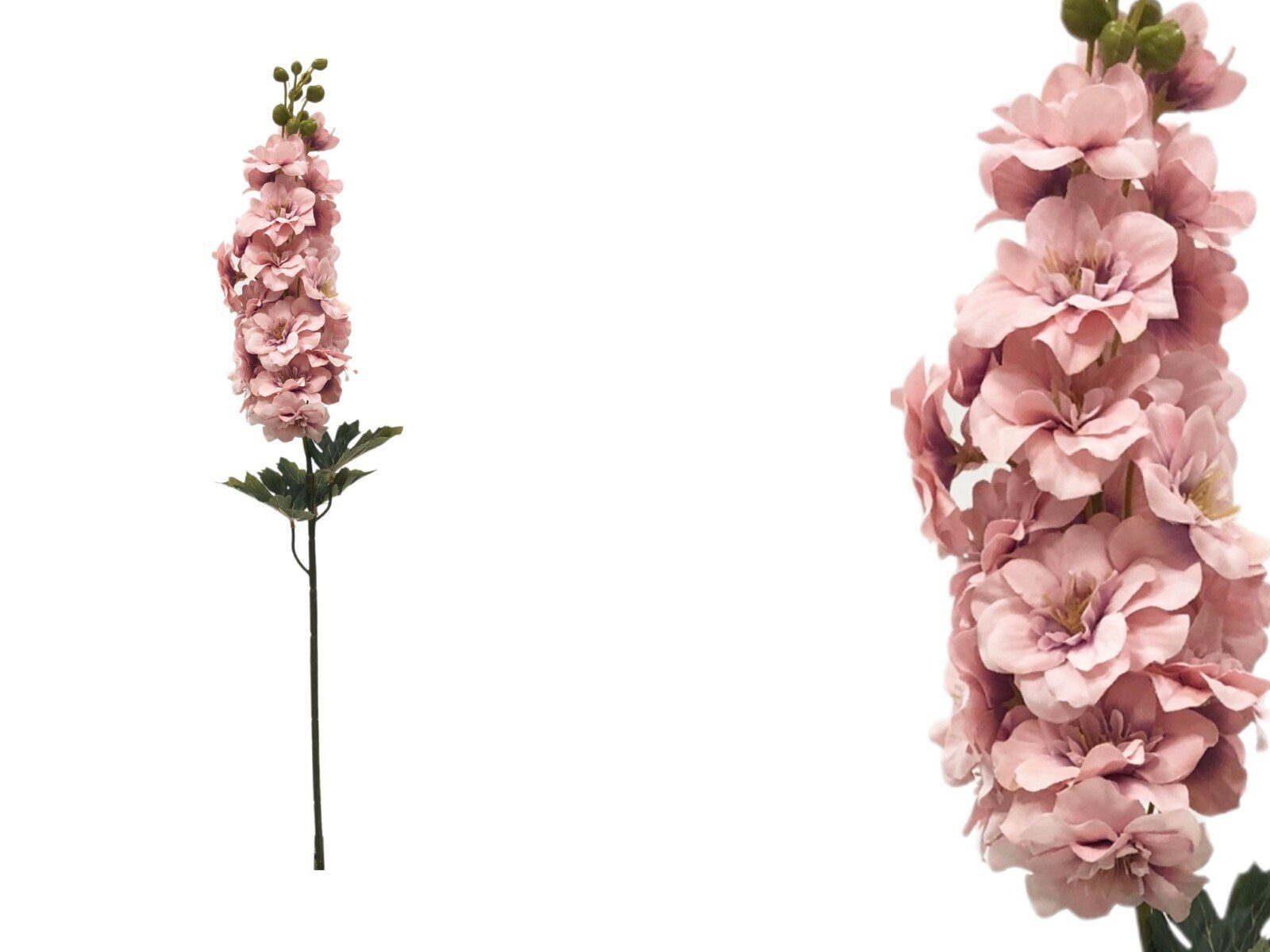 343433.2 VARA DE DELPHINIUM COR: ROSA - Image 1