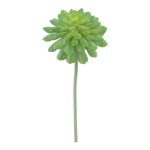 SUCCULENTA 39CM Ø18CM