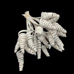 CANE CONE MINI C/25UNID