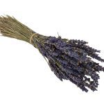 MOLHO LAVANDA NATURAL 30/40CM 60/80GR