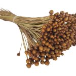 PIMENTE SECA ALT.50/60 200GR. COR:NATURAL