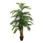 PALMEIRA ARECA X4 190MTS