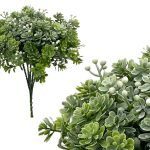 MOLHO MINI SUCULENTAS