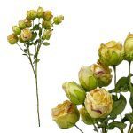 HASTE C/MINI ROSAS X12