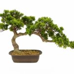 PLANTA ARTIFICIAL "BONSAI" COR VERDE 72CM