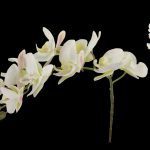 ARTIFICIAL- PHALENOPSIS 95CM X9