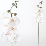 ARTIFICIAL-PHALAENOPSIS X6 TOQUE REAL