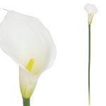 HASTE JARRO LATEX-72 CM