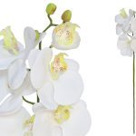 PE ORQUIDEA X6 70CM