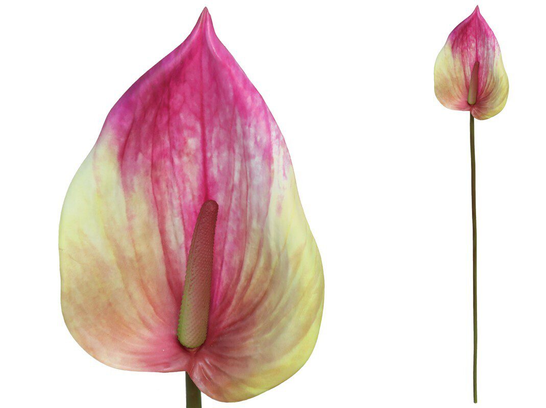 8445393147444 HASTE ANTHURIUM 84 CM COR:ROSA - Image 1