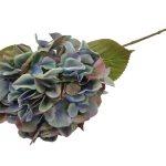 HORTENSIA DIA.22XALT.67CM