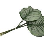 ARTIFICIAL- MARANTA MOLHO C/12 DIA.16X38ALT. CM