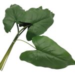 ARTIFICIAL- FOLHA DE JARRO C/12 38CM