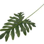 FOLHA PHILODENDRON 74CM