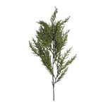 PE FOLHAGEM CYPRESS 70CM