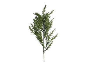 PE FOLHAGEM CYPRESS 70CM