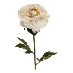 PE PEONIA VINTAGE 62CM