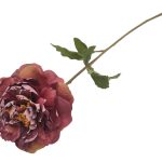 PE PEONIA VINTAGE 62CM