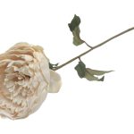 PE PEONIA VINTAGE 65CM