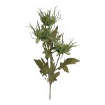 PE ERYNGIUM X3 65CM COR:VERDE