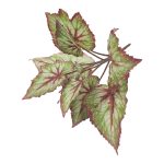 RAMO C/FOLHAS BEGONIA 38CM