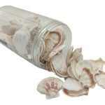 FRASCO 450GR CONCHAS NATURAL SORTD.