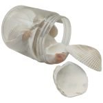 FRASCO PEQ. CONCHAS SORTD.