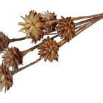 PLUMOSUM DIA.4/5X30CM