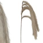 PAMPAS PENDENTES 130CM