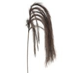 PAMPAS PENDENTES 130CM