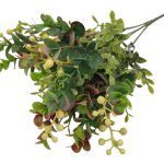 RAMO GOJI/EUCALYPTUS