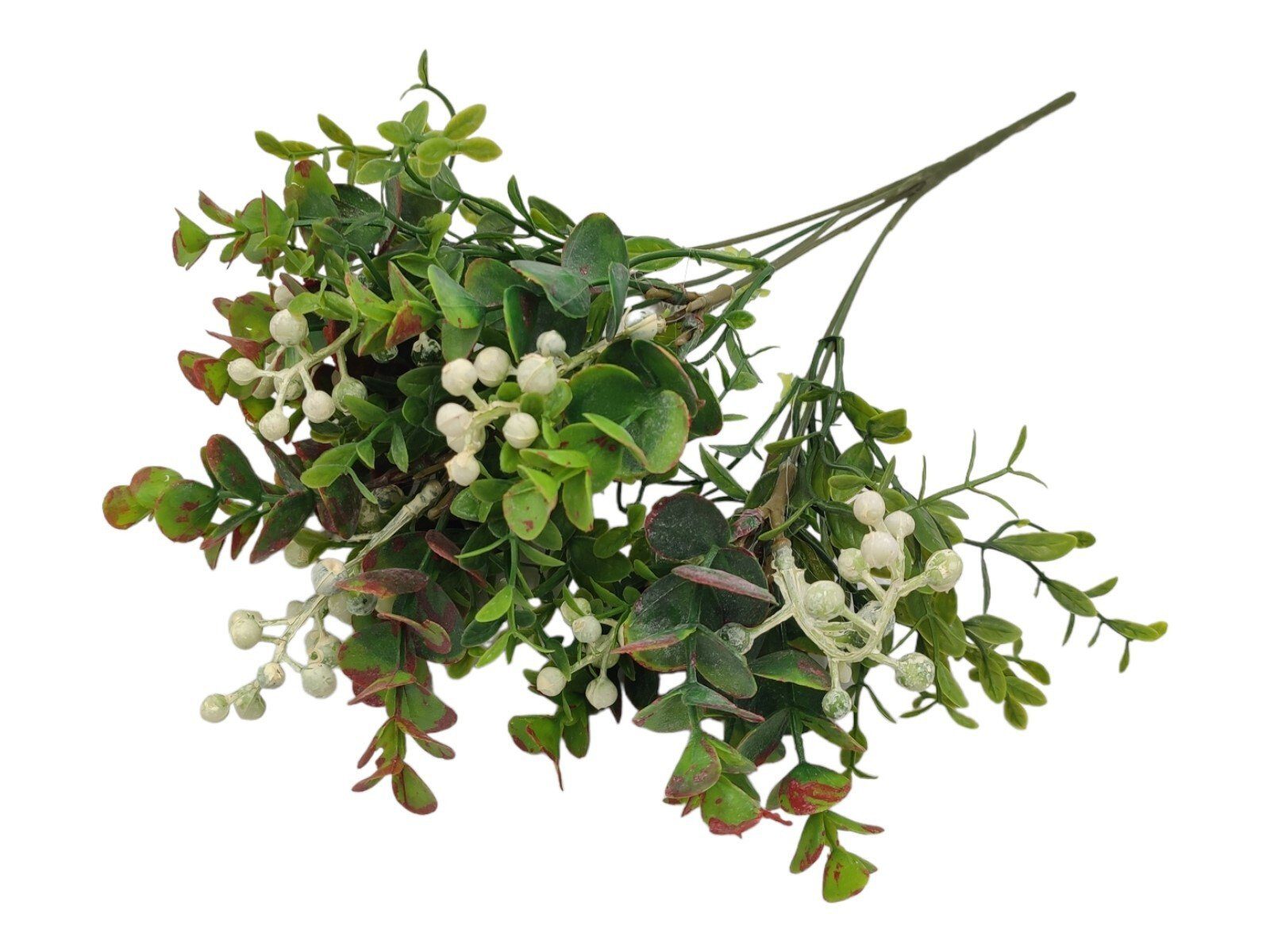 9355-11. RAMO GOJI/EUCALYPTUS COR:BRANCO - Image 1