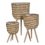 CONJ.3 FLOREIRA C/PES NATURAL