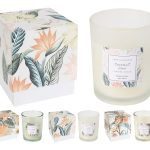 VELA AROMATICA C/CAIXA