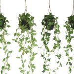 VASO PLANTAS CAIR SORTIDOS