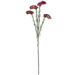 STATICE -64 CM COR:ROSA