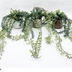 VASO C/VERDES CAIR SORTIDOS