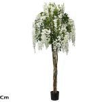 ARVORE WISTERIA COR:BRANCO