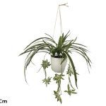 VASO C/PLANTA DE CAIR