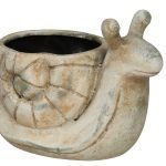 VASO CARACOL