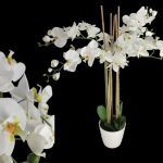 VASO PHALAENOPSIS X5 TOQUE REAL