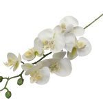 HASTE PHALAENOPSIS X7 TOQUE REAL COR:BRANCO