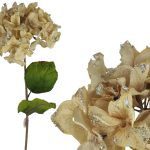 HYDRANGEA PREMIUM VELUDO