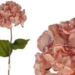 HYDRANGEA PREMIUM VELUDO